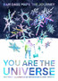 You Are the Universe : Ram Dass Maps the Journey by Amy Buetens - Paperback
