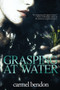 Grasping At Water