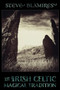 The Irish Celtic Magical Tradition by Steve Blamires - Paperback