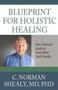 Blueprint for Holsitic Healing : Your Practical Guide to Body-Mind-Spirit Health by C.Norman Shealy - Paperback