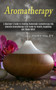 Aromatherapy : A Beginner's Guide to Creating Homemade Aromatherapy Oils (Essential Aromatherapy & Oil Guide for Health, Happiness and Stress Relief) by Mary Haley - Paperback