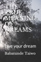 The True Meaning of Dreams : Live your dream by Babatunde Taiwo - Paperback
