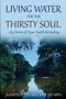Living Water for the Thirsty Soul : 365 Stories of Hope Health & Healing by Juanita Fletcher Cone MD Mph - Paperback