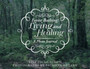 Forest Bathing : Living and Healing: A Photo Journal by Lisa Zschuschen - Paperback