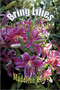 Bring Lilies : The Path to Awakening by Madeline Rowe - Paperback