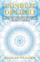 Conduit of Light : Channeled Wisdom from Our Highest Consciousness for the Seeker of Wellness and Spiritual Freedom by Danielle Wilkinson - Paperback