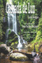 Cascada de Luz by Por El Espiritu Luiz Sergio - Paperback