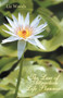 The Law of Attraction Life Planner by Liz Woods - Paperback