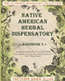 Native American Herbal Dispensatory : Handbook 3: The Medicine-Making Book for the Entire Family Tonics, Washes, Infusions, Oils, Herbal Tinctures, and Other Healing Recipes by Cheyenne Marie Allen - Paperback