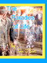 The Parades of Life. by John C Burt - Hardback