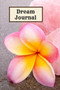 Dream Journal by Chase Malone - Paperback