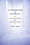 Illuminating the Afterlife : Your Soul's Journey Through the Worlds Beyond by Cyndi Dale - Hardback