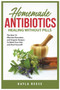 Homemade Antibiotics by Kayla Reese - Paperback