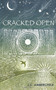 Cracked Open by J.C. Amberchele - Paperback