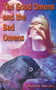 The Good Omens and the Bad Omens by Hseham Amrahs - Paperback