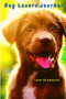 My Lovely Journal - A Cute Themed Dog Notebook For Dog Lovers Of All Ages by Love to Educate - Paperback My Lovely Journal - A Cute Themed Dog Notebook For Dog Lovers Of All Ages by Love to Educate - Paperback