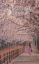 Metamorfosi Radicali by Donatella Mela - Paperback