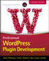 Professional WordPress Plugin Development by Brad Williams - Paperback