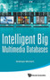 Intelligent Big Multimedia Databases by Andreas Miroslaus Wichert - Hardback