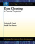 Data Cleaning : A Practical Perspective by Venkatesh Ganti - Paperback