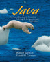 Java : Introduction to Problem Solving and Programming by Walter J. Savitch - Paperback