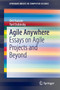 Agile Anywhere : Essays on Agile Projects and Beyond by Orit Hazzan - Paperback