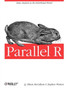 Parallel R by Q.Ethan Mccallum - Paperback