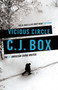 Vicious Circle : 17