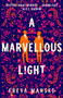 A Marvellous Light by Freya Marske - Hardback