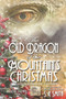 The Old Dragon of the Mountain's Christmas : Dragon Lords of Valdier Book 9 : 9 by S E Smith - Paperback