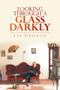Looking Through a Glass Darkly by Jan Chadwick - Paperback