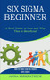 Six Sigma Beginner : How to Make Lean Six Sigma Even Leaner (A Brief Guide to How and Why This Is Beneficial)