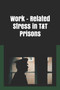 Work Related Stress in TT Prisons : Stress Among Prison Officers