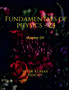 Fundamentals of physics - 24