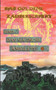 Das goldene Zauberschwert : und das magische Amulett by Jonathan Engert - Paperback