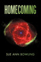 Homecoming by Ann Bowling Sue Ann Bowling - Hardback