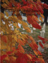 Haunted by M.E. Robertson-Hoon - Paperback