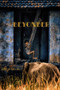 Beyonder by Bill Jr Jones - Paperback