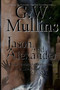 Jason and Alexander A Gay Paranormal Love Story (Revised Second Edition) : 1 by G W Mullins - Paperback