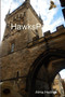 HawksPawn by Alma Hedrick - Paperback