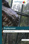 Predecessor by Patrick Morris - Paperback