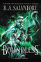 Boundless : A Drizzt Novel by R.A. Salvatore - Hardback