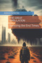 The Great Tribulation : Surviving the End Times by Abah Gideon - Paperback