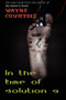 In the Time of Solution 9 by Wayne Courtois - Paperback