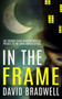 In The Frame : Prequel Mystery Novella - Anna Burgin Series Book 3 : 3
