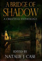 A Bridge Of Shadow : Premium Hardcover Edition by Natalie J Case - Hardback