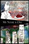 My Name is Dee by Robin Wyatt Dunn - Paperback