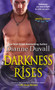 Darkness Rises by Dianne Duvall - Paperback