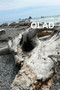 Olad by O.L. Jr. Davis - Paperback