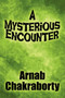 A Mysterious Encounter